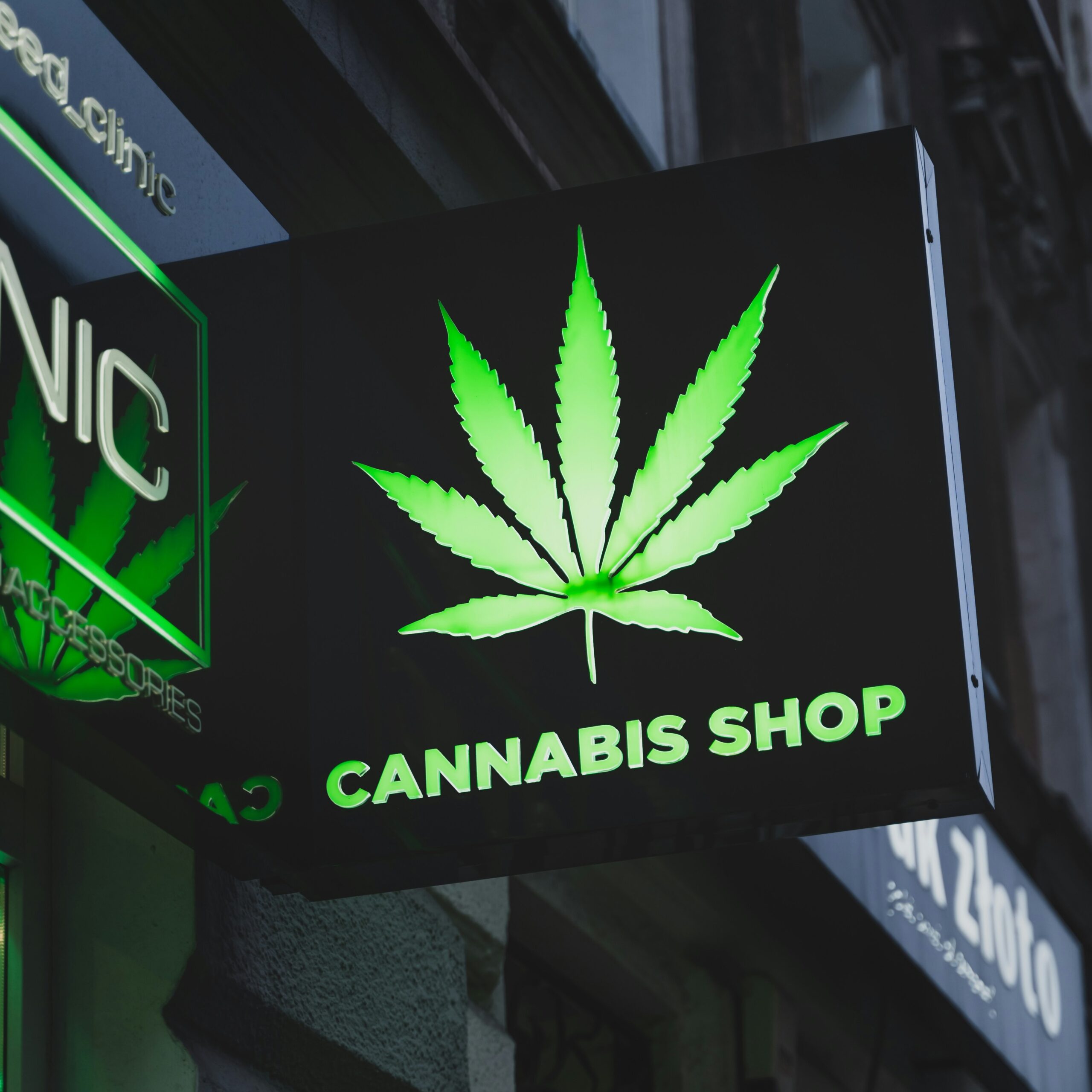 Understanding the mental health risks linked with cannabis use